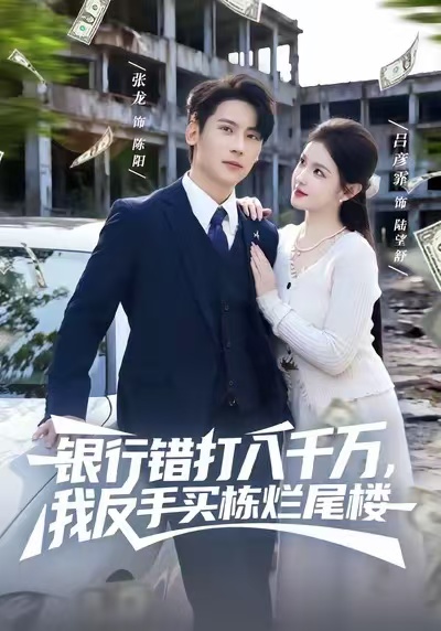 銀行錯打八千萬，我反手買棟爛尾樓(全集)