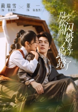 陸少，你的閃婚妻子又跑路了(全集)